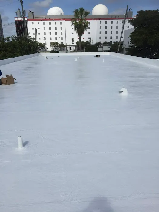 Navarro Roofing Picture 1