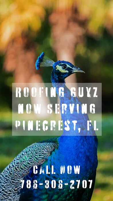 Roofing Guyz Picture 5