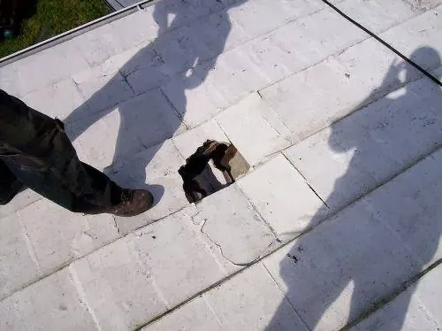 Design Roofing Corp. Picture 7