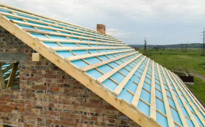 The Roofers Of Florida Picture 2