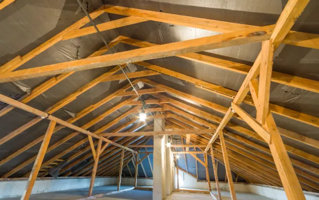 The Roofers Of Florida Picture 4