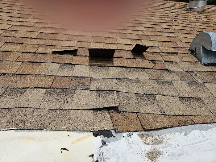 RTI Roofing Picture 1