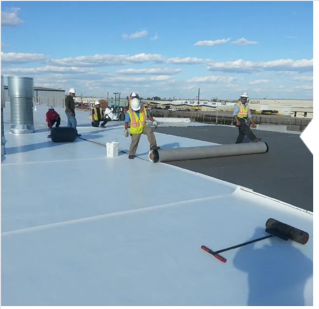 Omega Roofing Inc Picture 9