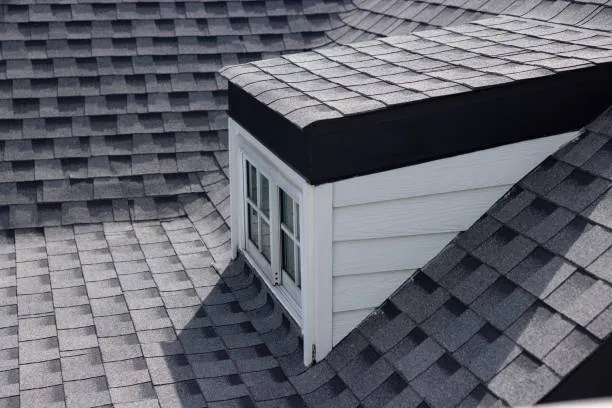 Omega Roofing Inc Picture 7