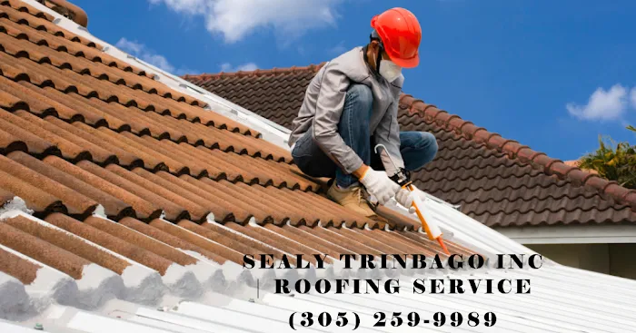 Sealy Trinbago Inc Picture 2