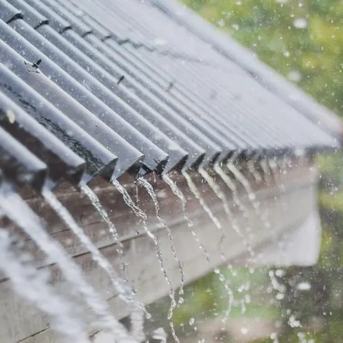 Dr. Roof & Waterproof Picture 4