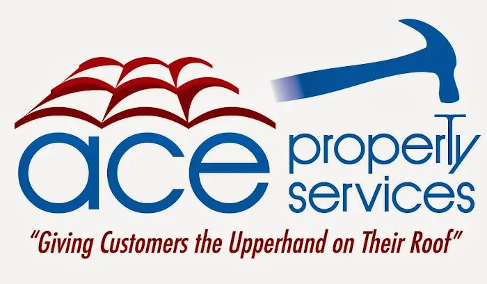 ACE PROPERTY SERVICES Picture 1