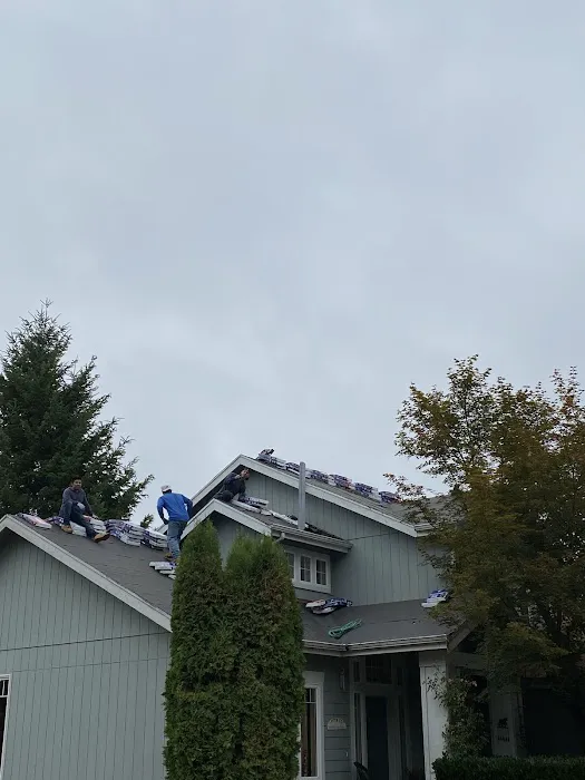 Compass Roofing Company Miami Picture 3