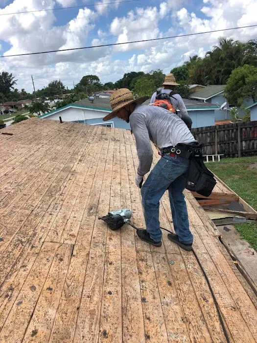 Sealed Tight Roofing Picture 5