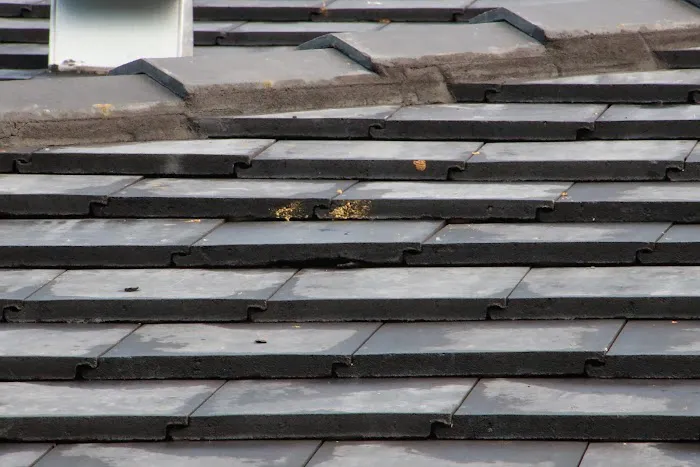 Rooftop Solutions LLC Picture 5