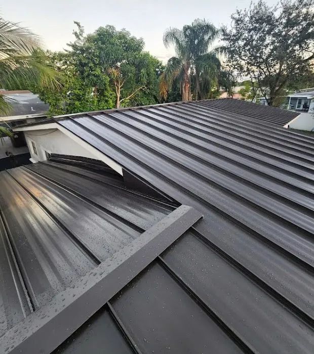 Alonso Roofing Picture 2