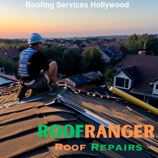 RoofRanger Roof Repairs Miramar Picture 9