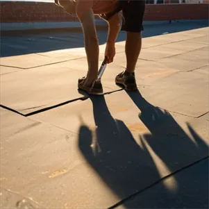 RoofRanger Roof Repairs Miramar Picture 3