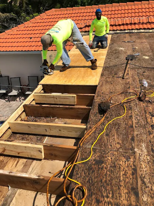 Osolutions Group Picture 6