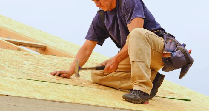 Hollywood Hail Damage Specialists Picture 2