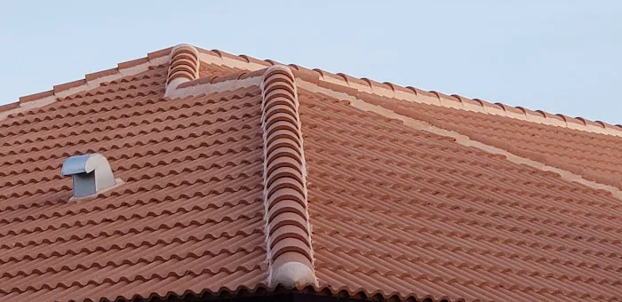 Rick's Roofing and Repairs Inc. Picture 9