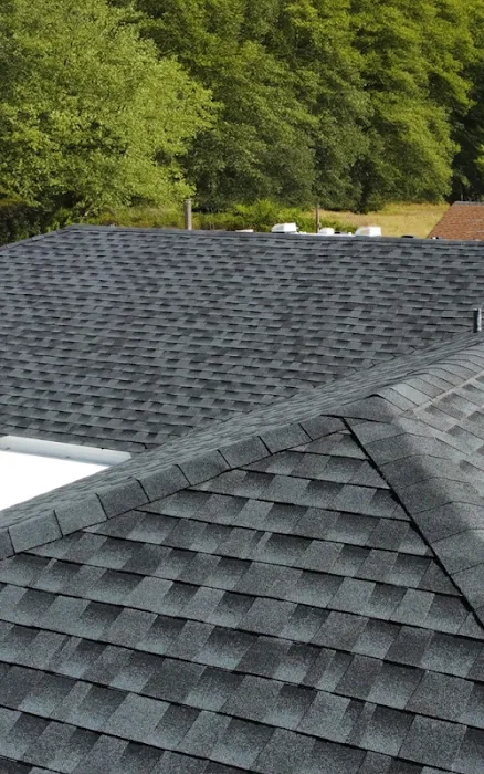 Vice Roofing & Construction Picture 4