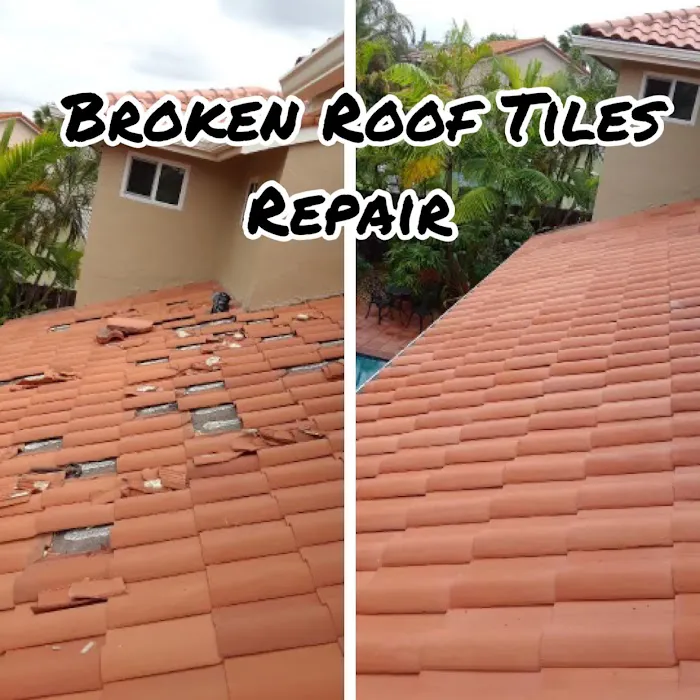 Pro Tech Roofing Contractor & Assoc Inc Picture 8