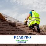 PeakPro Roof Repairs