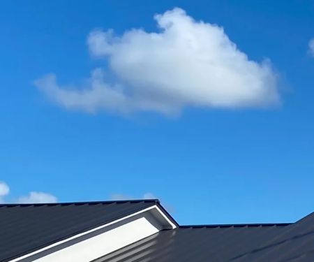 Roof Rooster