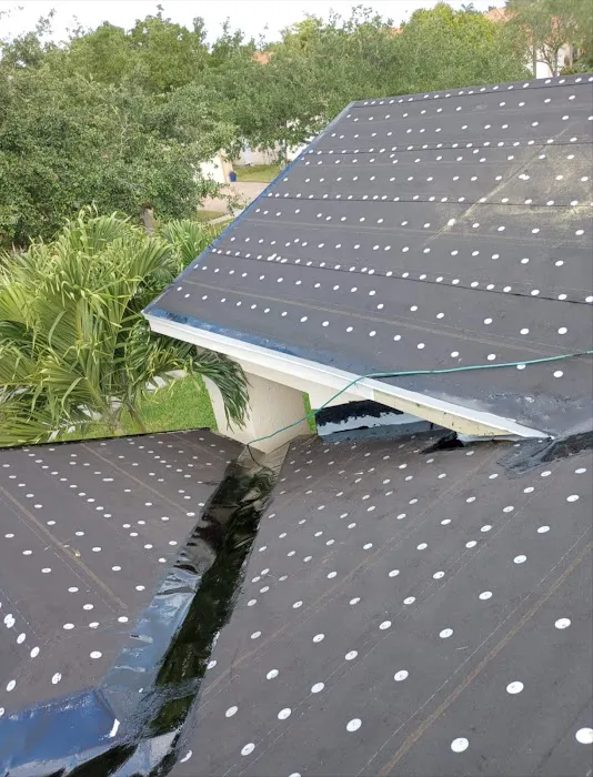 Roof Rooster Picture 10