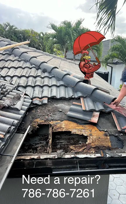 Roof Rooster Picture 7