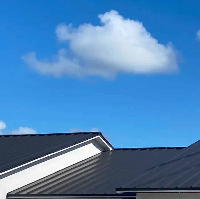 Roof Rooster Picture 8