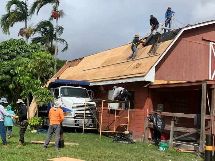 Roof Rooster Picture 9