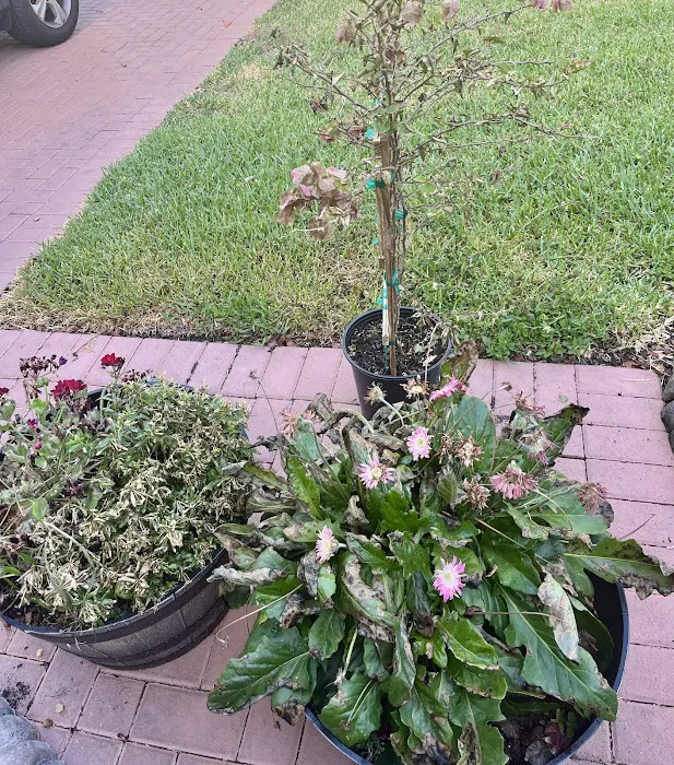 Roof Tile Repair Pembroke Pines Picture 10