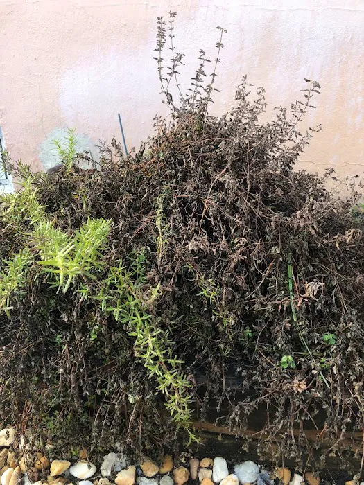 Roof Tile Repair Pembroke Pines Picture 1