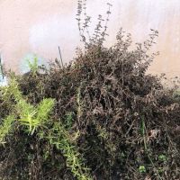 Roof Tile Repair Pembroke Pines ico