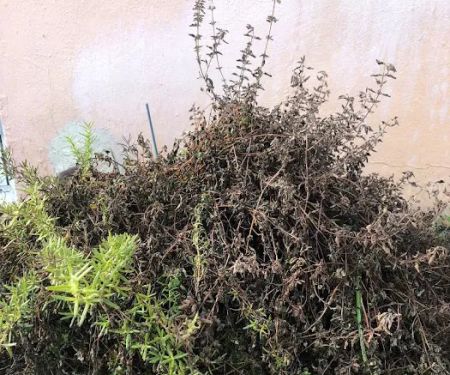 Roof Tile Repair Pembroke Pines