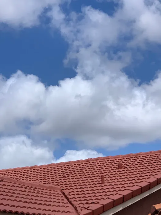 Mr & Mrs Shingles Roofing Picture 7