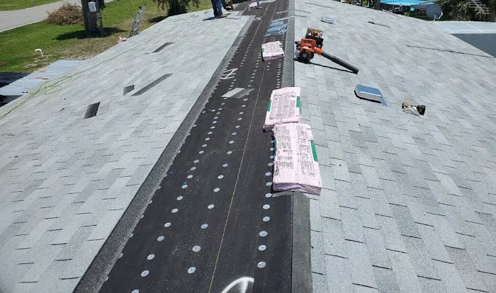 Mr & Mrs Shingles Roofing Picture 1