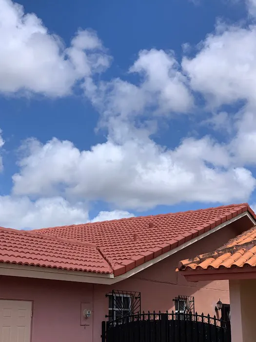 Mr & Mrs Shingles Roofing Picture 4