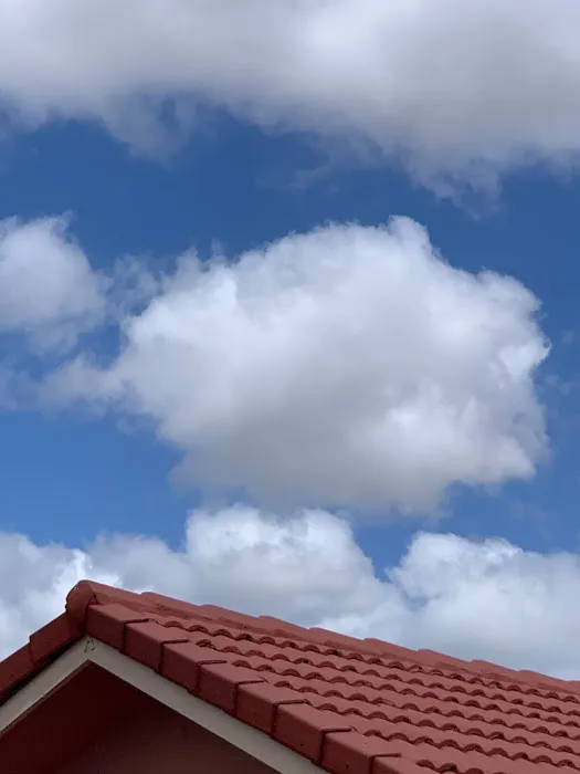 Mr & Mrs Shingles Roofing Picture 3