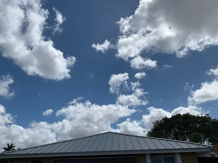 Mr & Mrs Shingles Roofing Picture 6