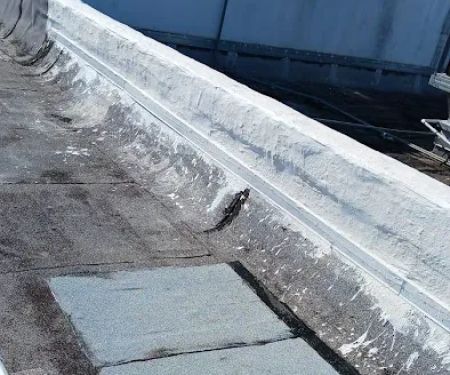 William Seay Fair Roofing