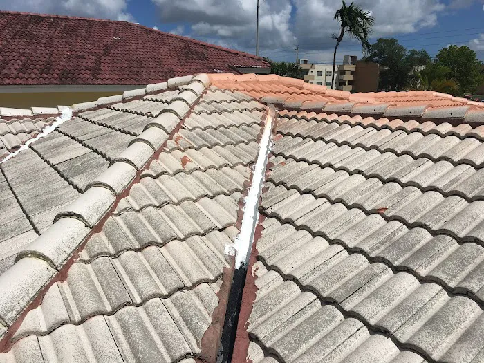 Storm Shield Paint Systems Inc Picture 2