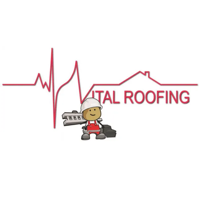 Vital Roofing Inc Picture 3
