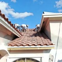 NEW ROOFING & GC LLC ico