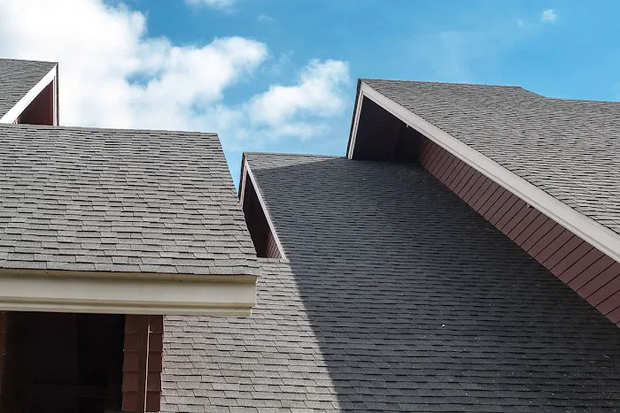 Roofing Guys Picture 1