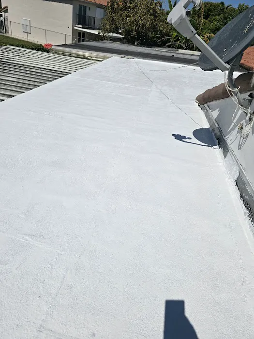 305 ROOF EXPERTS Picture 4