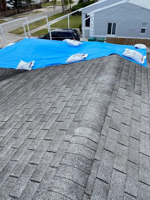 Bananas Group Inc Picture 3