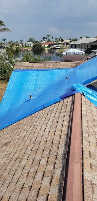 Bananas Group Inc Picture 2