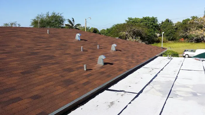 Bananas Group Inc Picture 6