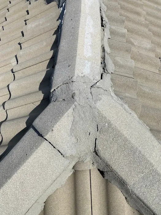 Bananas Group Inc Picture 10