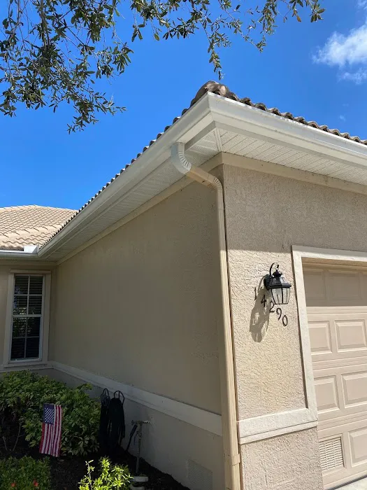 Bananas Group Inc Picture 5