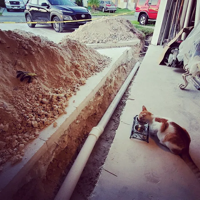 Bananas Group Inc Picture 7