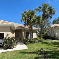 Bananas Group Inc ico